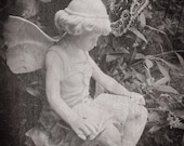 Fairy Friend 5x7 Fine Art Photograph