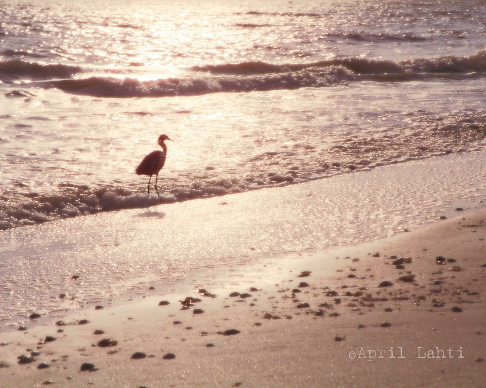 Strolling the Beach 8x10 Fine Art Photograph