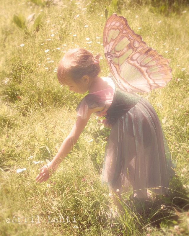 Fairy in the Flowers 8X10 Fine Art Photograph