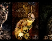 2 PRINTS Skull Gothic Print Steampunk Skelanimal Bunny Rabbit  cat feline bird owl Fine Art Canvas Print 13x19  horror Vena Kava