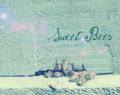 Sweet Bees - 8x10 Fine Art Photography (20x25cm)