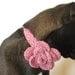 The Blossom Collar - Dogs or Cats - Wool Blend - Blossom Pink - Valentine's Day