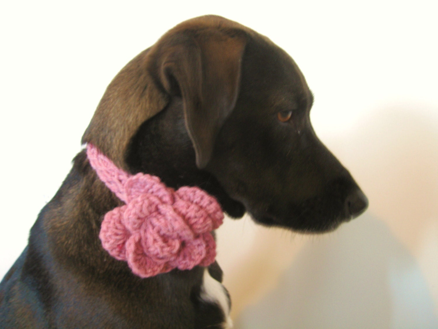 The Blossom Collar - Dogs or Cats - Wool Blend - Blossom Pink - Valentine's Day