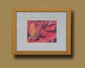 Framed art Floral Art Giclee Print "Magenta" Dahlia flower from Watercolor by Peggy Martinez