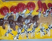 60 Cowboy/CowGirl Assortment Chocolate Lollipop Favor with Deluxe Ribbon-HORSE ONLY Il_170x135
