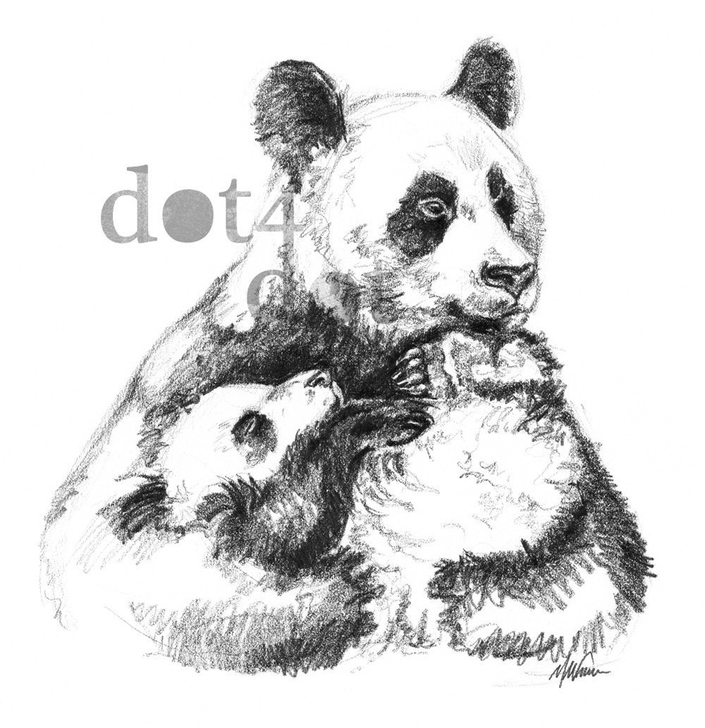 Panda bear - 'Mother's Embrace' - 8 x 10 - Pencil