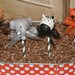 Mom's Killer Cakes & Cookies Original Safari Tiger, Elephant, Lion, Zebra Jungle Zoo Cake Pops