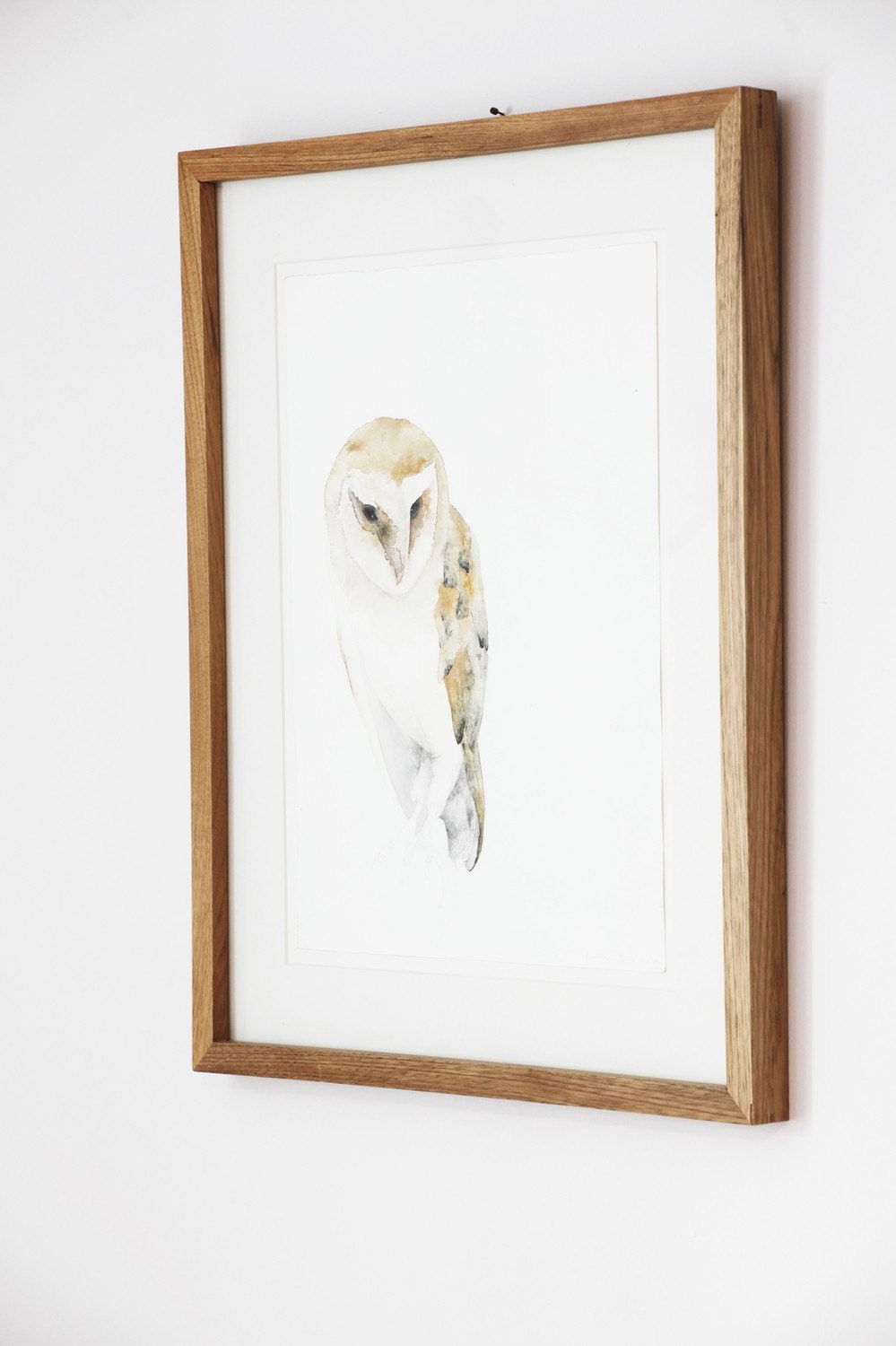 Barn Owl Fine Art Print from Original Watercolor