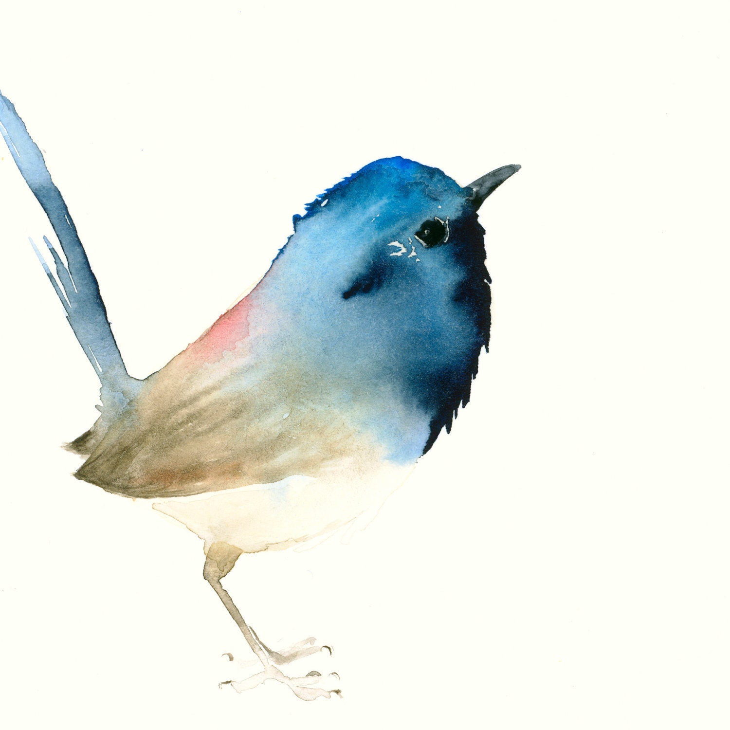 Art Bird Print from Original Watercolor - Dark Blue Tiny Bird