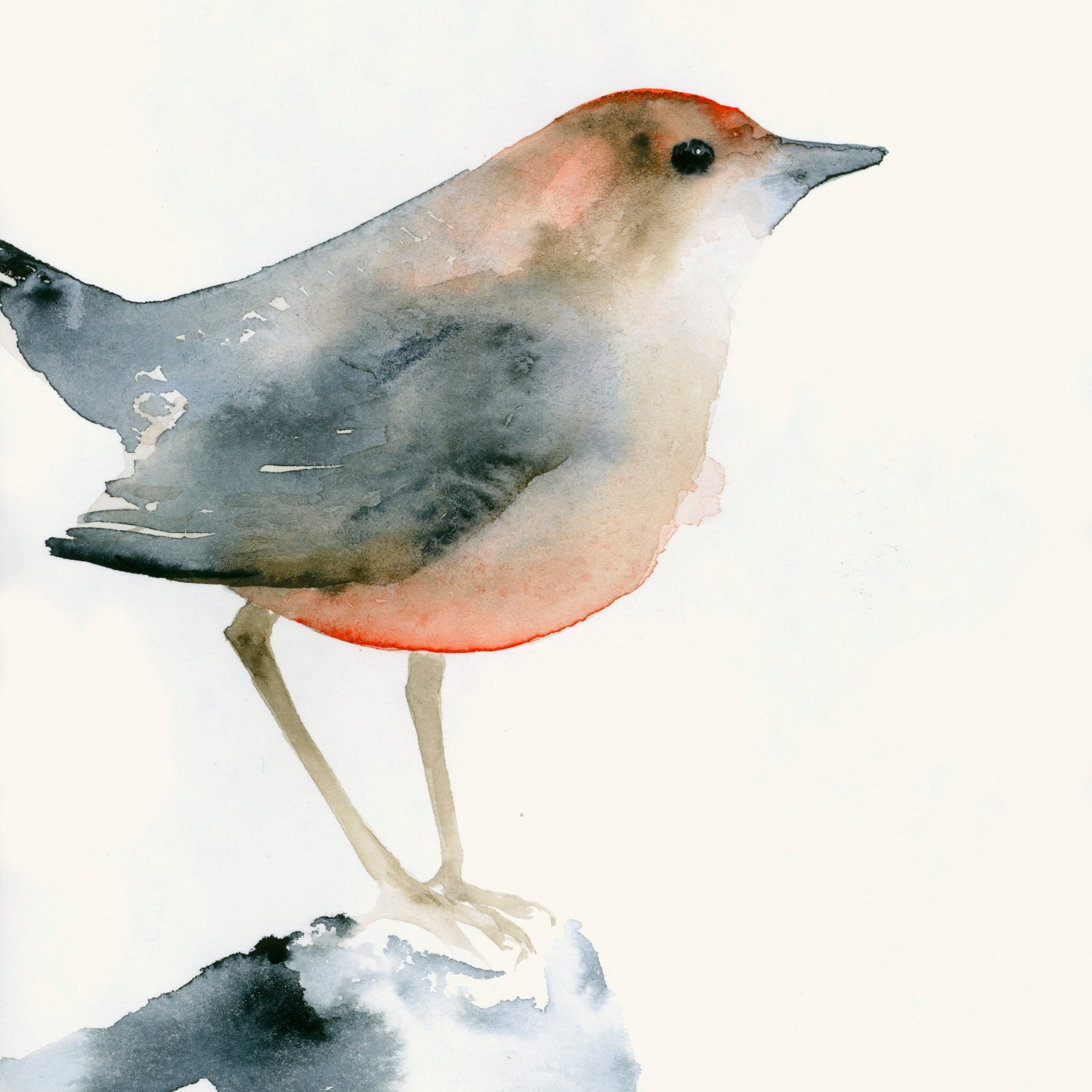 Fine Art Print from Watercolor Original - Red and Black Bird on a Stone