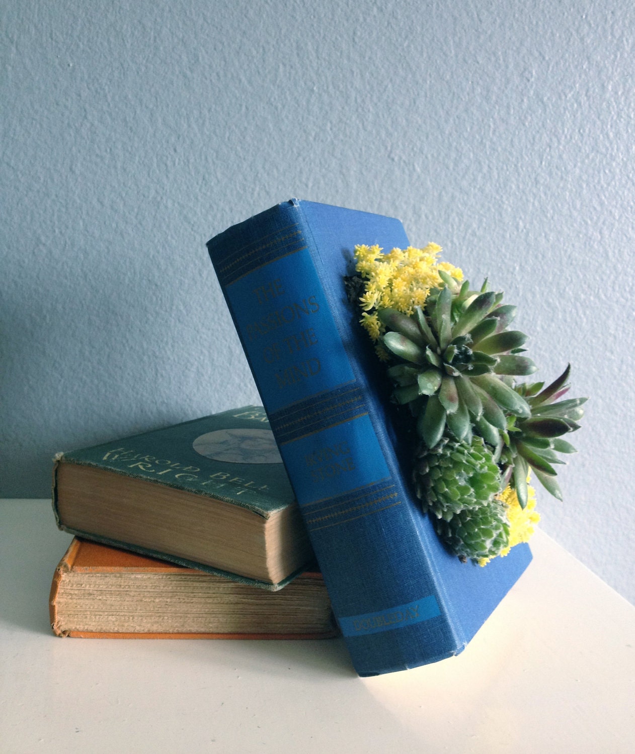 Upcycled Book Planter for Succulents or Flowers