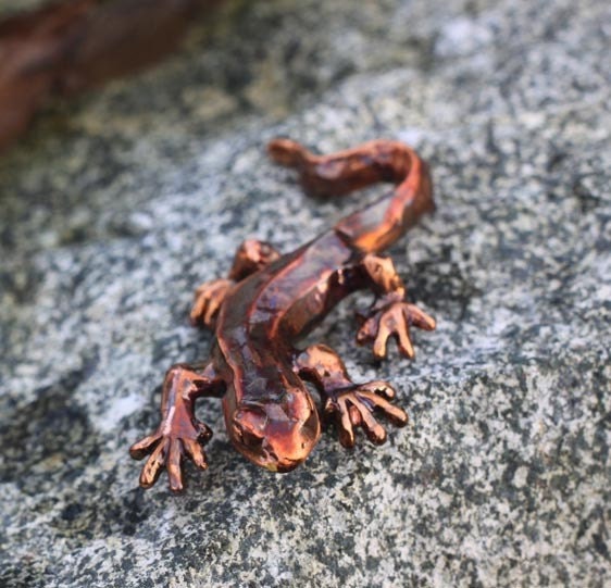 Copper Nature Art - Newt Sculpture