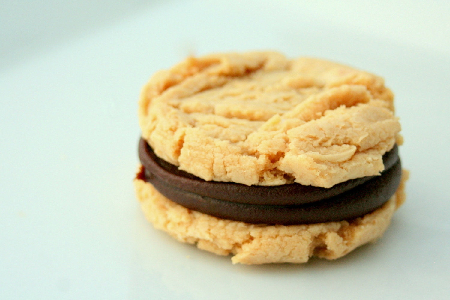 Peppy Peanut Butter Chocolate Ganache Cookie-Wiches-1 Dozen