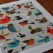 Birds 11"x14"