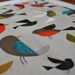 Birds 11"x14"