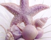 SHELL SOAP, Summer Shimmering Shells and Starfish in Purple, Scented in Blackberry Sage, Vegetable Based, Handmade