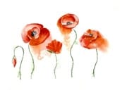 Original Watercolor Painting 13x19 artwork wall home decor fine art contemporary flower poppy nature ferb illustration