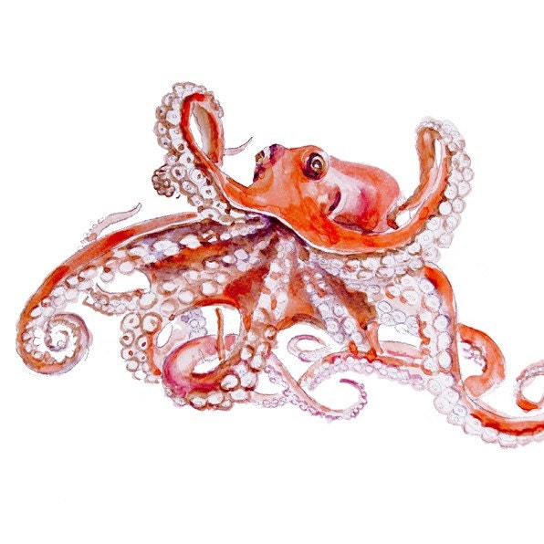 Octopus Original Watercolor painting fine art artwork wall home decor ocean sea animal illustration 13x19