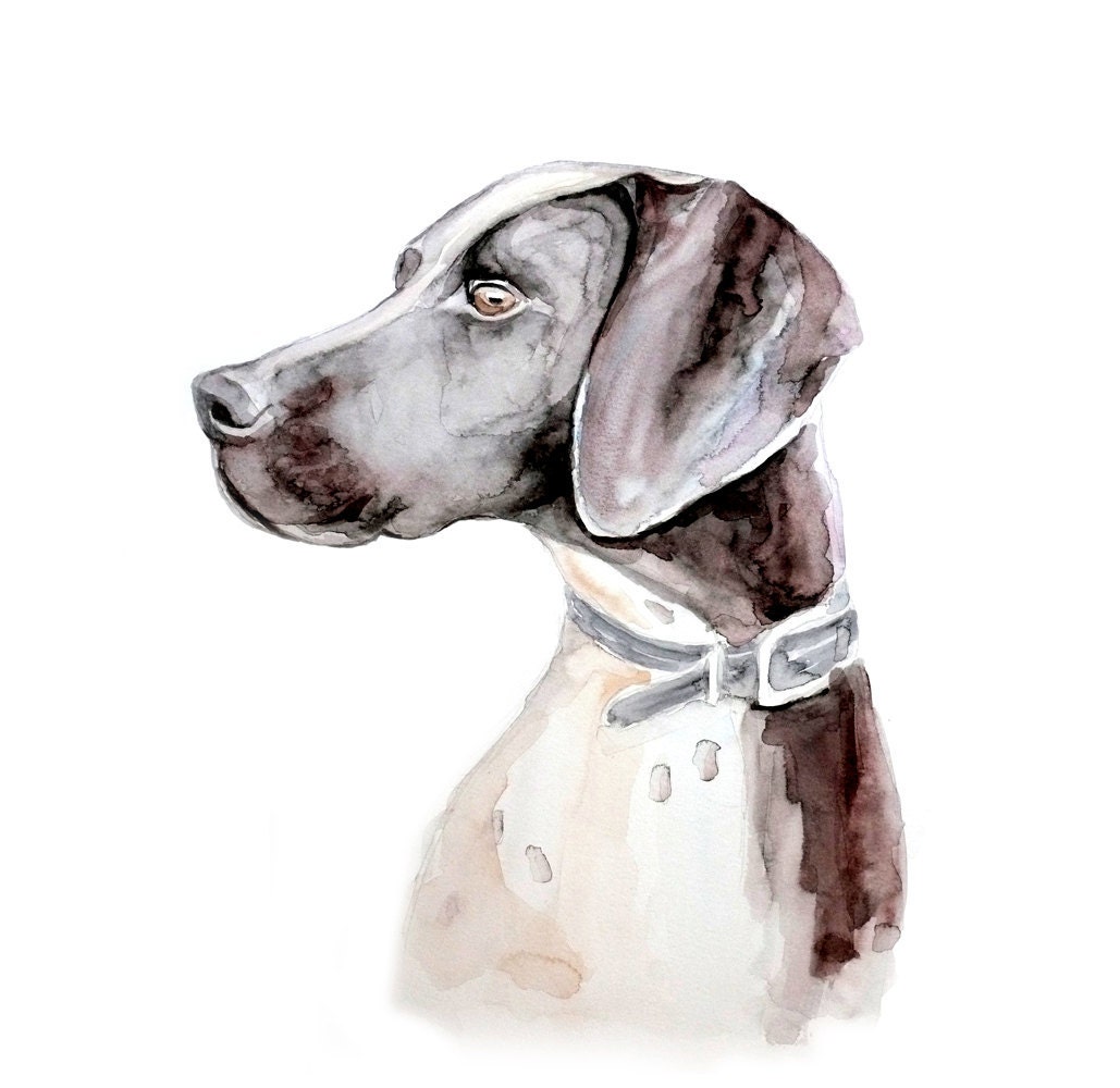 13x19 Custom Pets Portrait original watercolor painting customized commision dog cat animal pet lover large illustration drawing