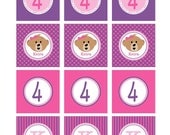 Build-A-Bear Bear Birthday Party DIY Printable File - cupcake toppers and wrappers , bottle wraps, favor tags, banner, food labels