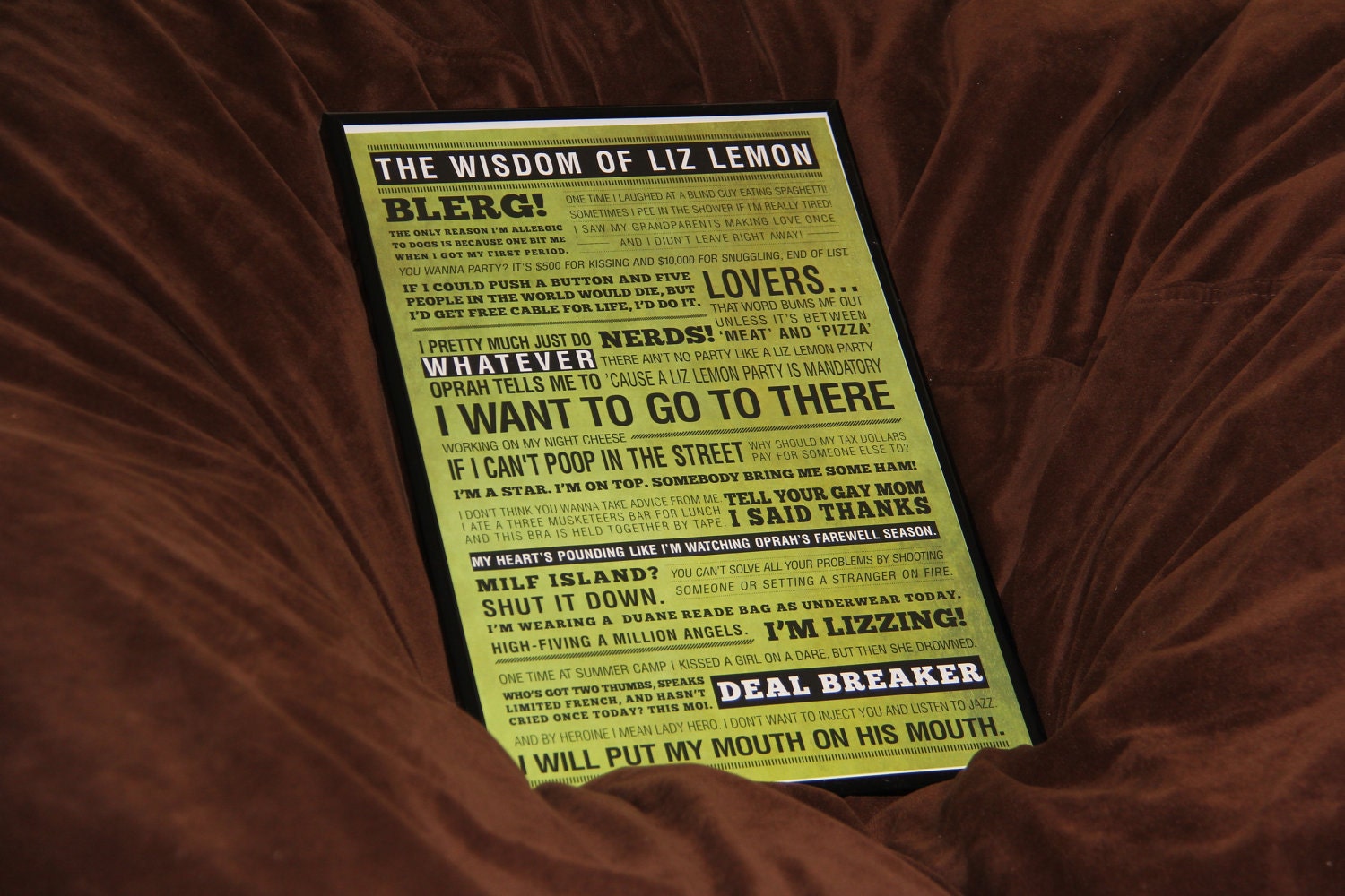 11X17 30 Rock LIZ LEMON Quotes Poster: Wisdom Of Liz Lemon