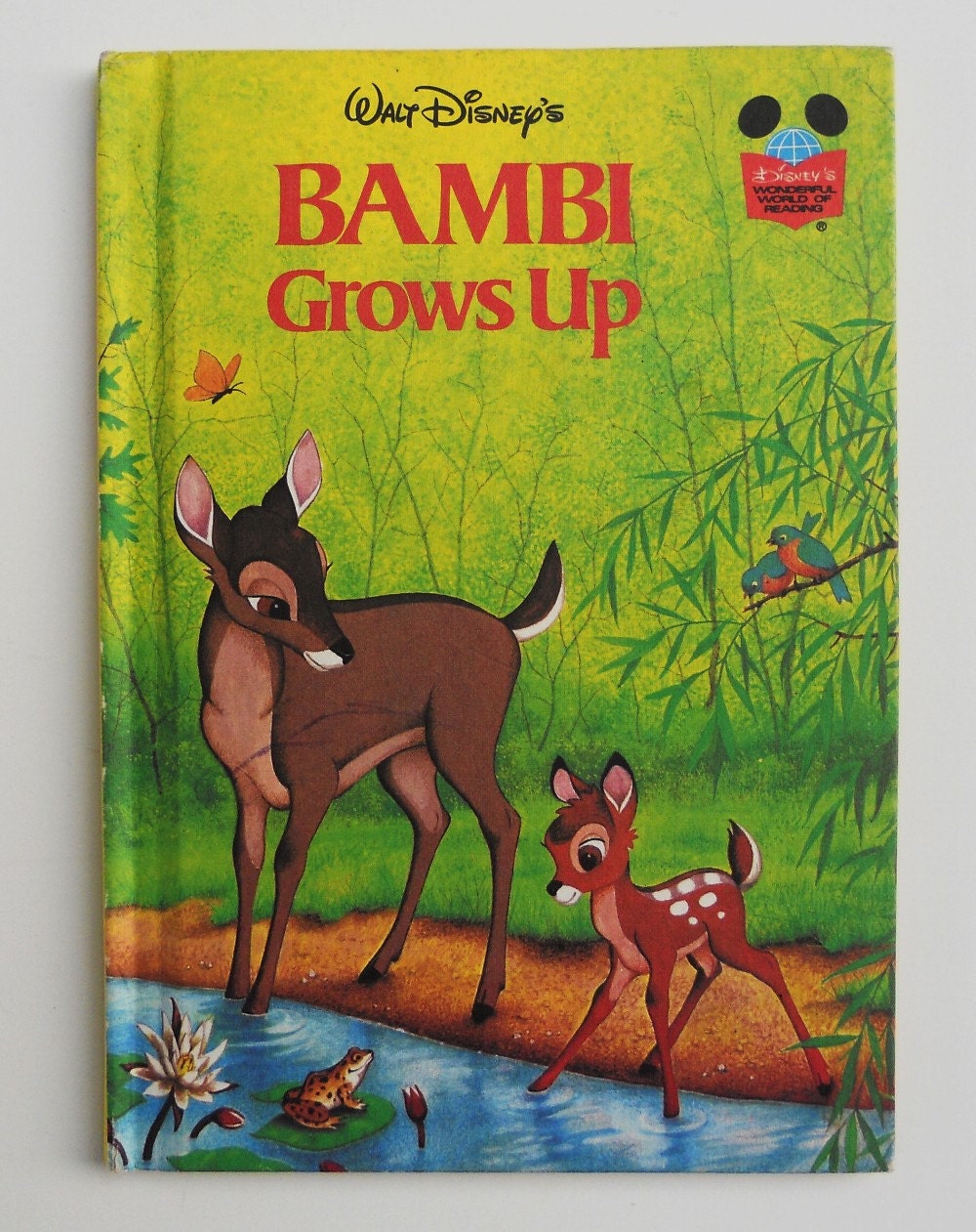 Bambi The Book