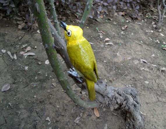 Oriental White-Eye Paper Sculpture