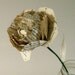 Paper Peony (The Adeline)