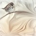 Dreamy SONG SPARROW, a romantic woodland songbird 8x8 print