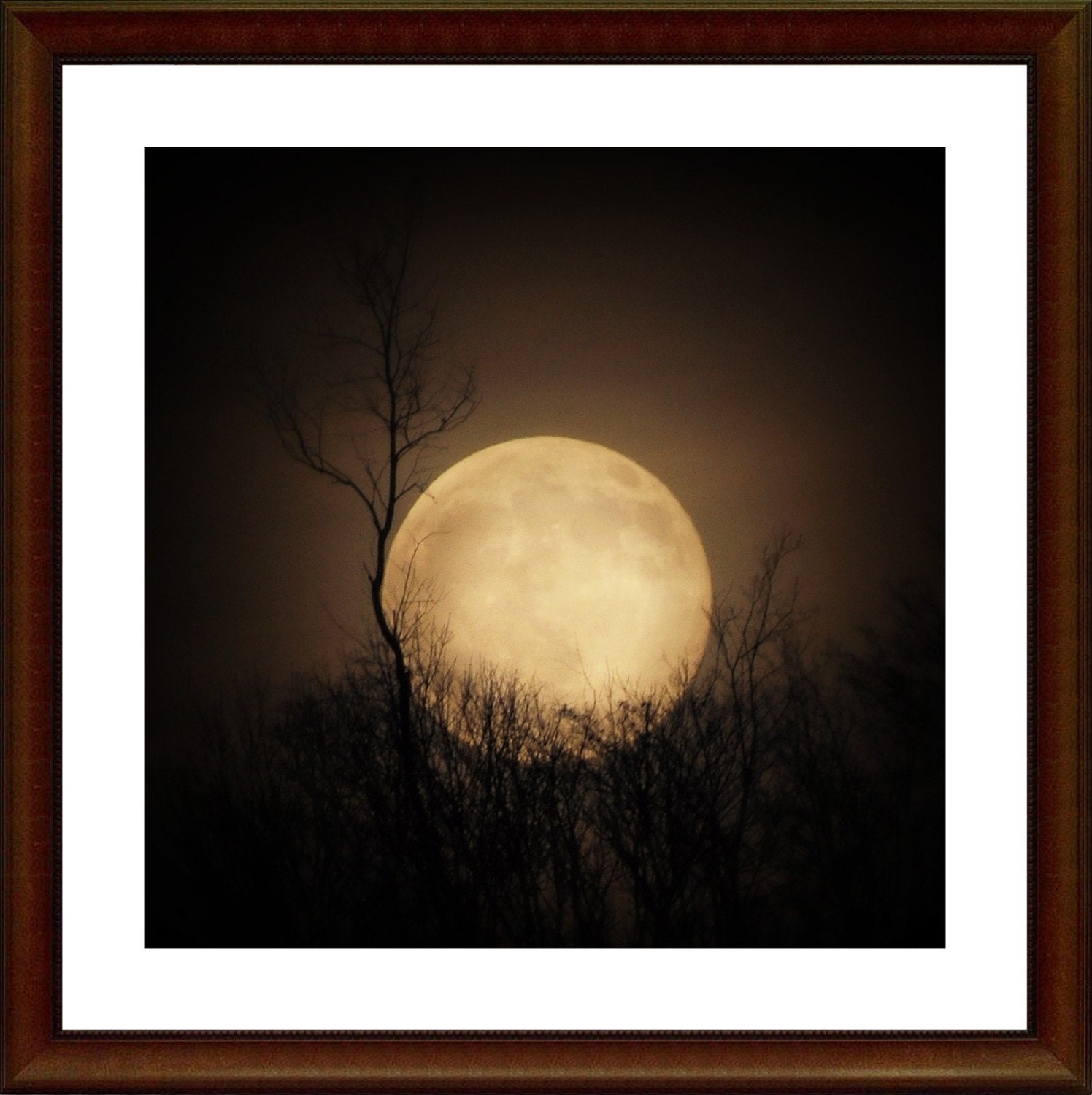CRADLED MOON, a celestial full moon night sky 5x5 print