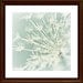 QUEEN ANNE'S Lace, a meadow botanical 8x8 print