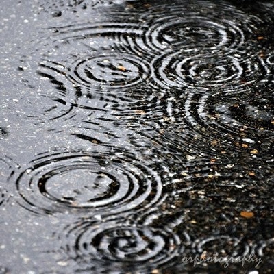 PUDDLE, a rainy day 8x8 print
