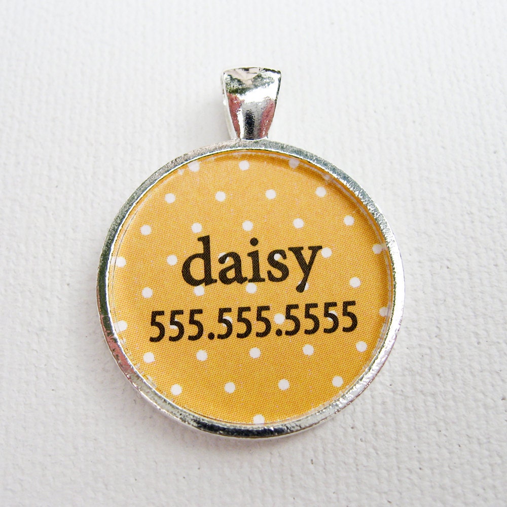 Custom Pet I.D. Tag, Polka Dots on Silver, Assorted Colors