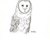 Barn Owl Line Drawing Print 5x7