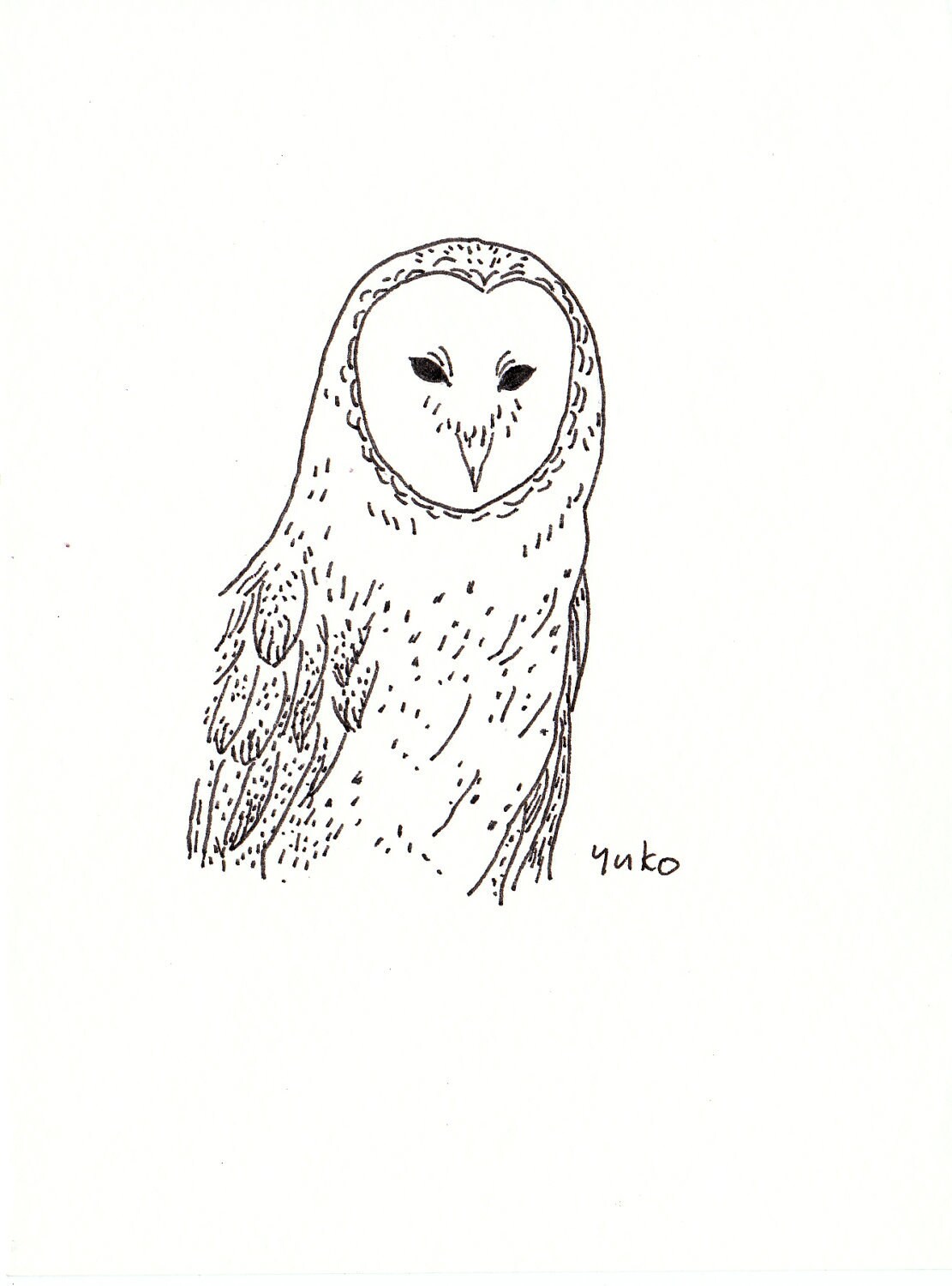 Easy Owl Drawing