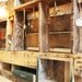 Rustic Wall Shelf Display Organizer with electric light. Made from Upcycled Wooden Pallets