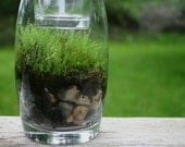 Moss Terrarium, Earth Day,  Moss, Spring, Green, Emerald, Candle Holder,  Garden