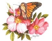Wild Rose and Butterfly Watercolor Painting Print