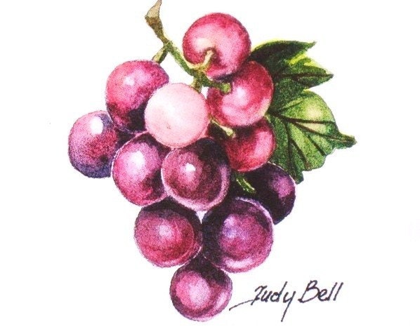 Grapes - Purple Fruit Print Of Watercolor Painting