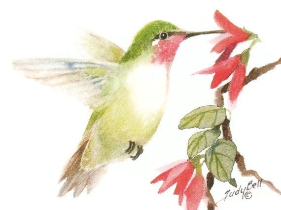 Humingbird Watercolor Painting Print