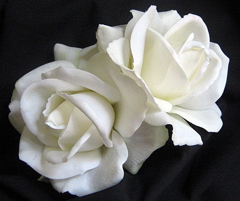 Natural White Rose Bridal Silk Flower Hair Clips, Set of 2 , Realistic, BESTSELLER
