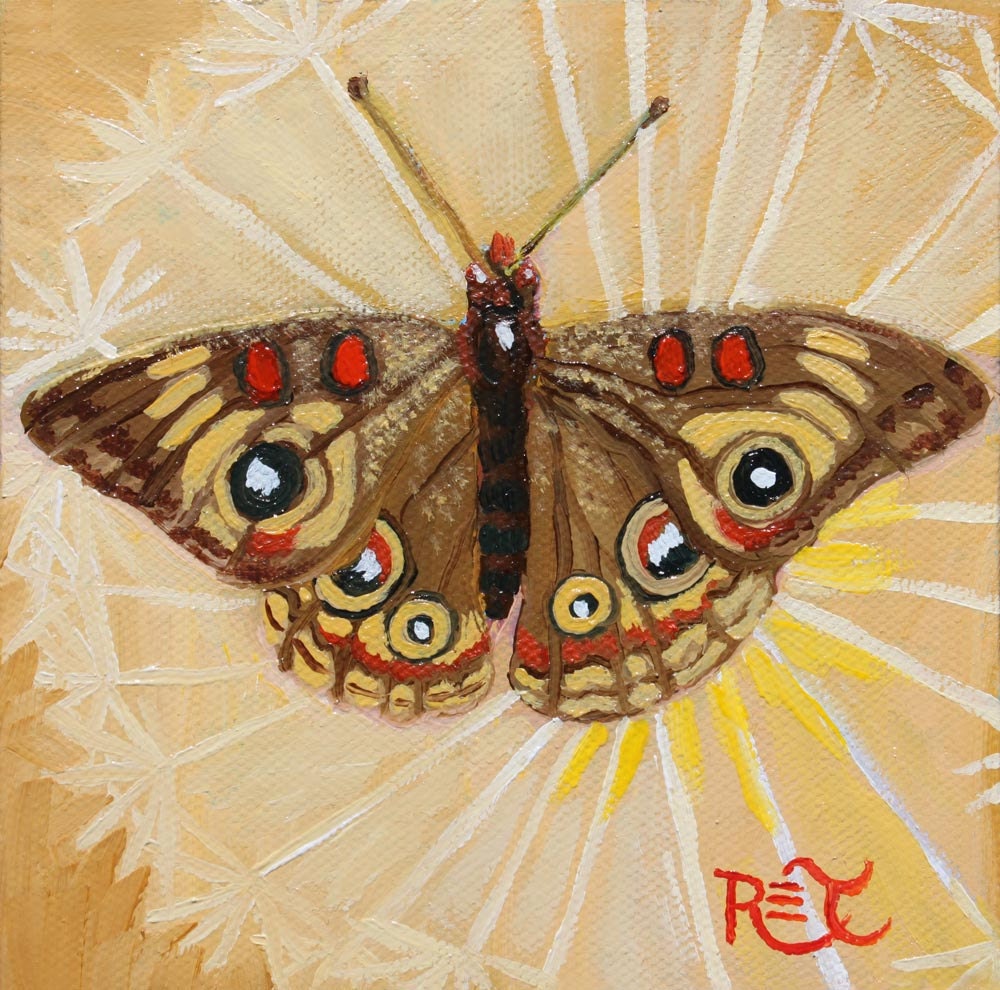 Buckeye Butterfly and Danelion Seed Pod 8" x 8" PRINT - insect art, butterfly painting, butterfly art, yellow, wildlife painting - ReneeThompsonDesigns