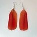 African Grey Parrot Feather 925 Earrings