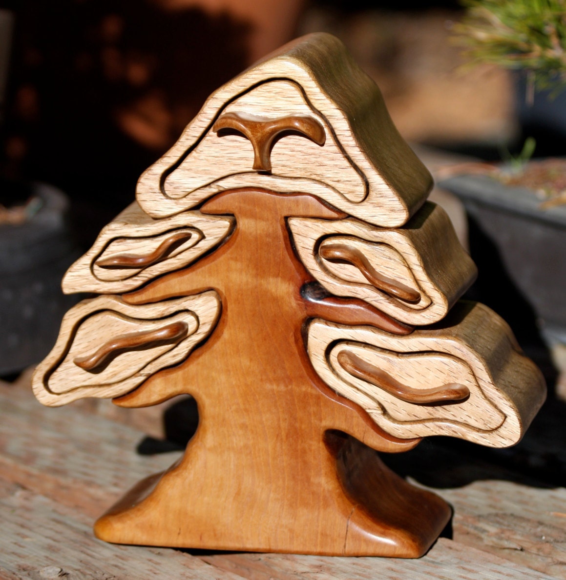 Jewelry Box of Black Oak & Madrone