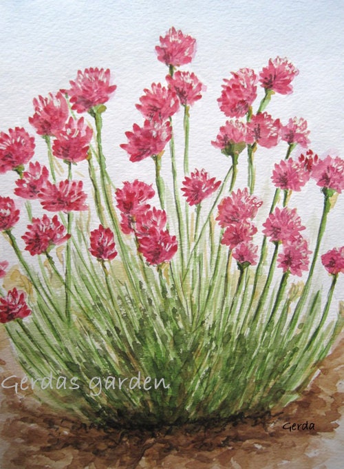 Spring Red pink California Wildflower botanical watercolor print 8x10