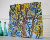 Yellow Leaves Fall Oak Tree Looking Up, 9x12 by MyImaginationIsYours