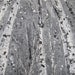RESERVED FOR RYAN impasto, textured, 20x24, aspen, birch, tree painting, neutral, black and white, grey