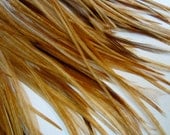 10 HONEY GINGER feathers for Feather Extensions & 3 Extension Beads