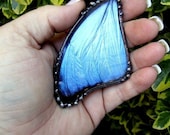 Reserved for Nikki Cannone Real Butterfly Pendant, Large Blue Morpho Menelaus, Butterfly Jewelry
