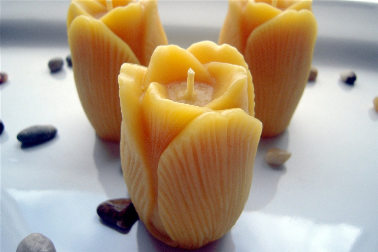 Beeswax Tulip Candle, set of 3 - Gift for Gardener, Mom, Teacher
